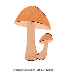 Aspen bolete mushroom. Stylized forest autumn mushroom. 