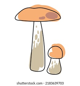 Aspen bolete mushrooms isolated on white background. Line art with splashes of color added. Pastel colors. Vector.