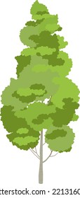 Aspen icon. Green foliage tree. Nature symbol