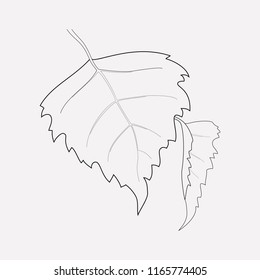 Aspen icon line element. Vector illustration of aspen icon line isolated on clean background for your web mobile app logo design.