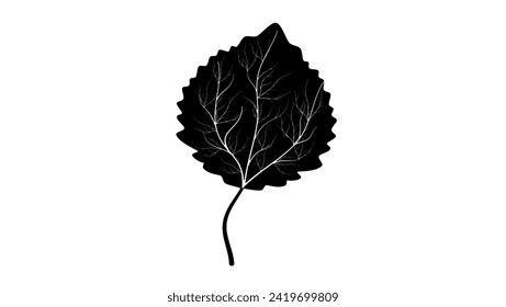 aspen leaf, black isolated silhouette