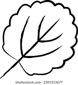 Aspen Leaf hand drawn vector illustration