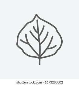 Aspen leaf icon line symbol. Isolated vector illustration of icon sign concept for your web site mobile app logo UI design.