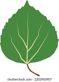 aspen leaf icon on white background. green leaf of Aspen. flat style. 