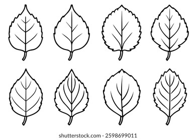 Aspen leaf line art illustration in minimalist style