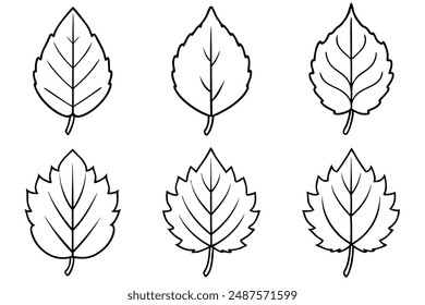 Aspen Leaf line art ink drawing