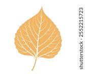 Aspen leaf silhouette on white background. Autumn design element. Flat style illustration