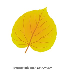 Aspen Leaf Vector