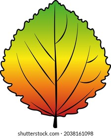 aspen leaf vector colour autumn