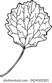 Ilustración vectorial de hoja de álamo en estilo de arte de línea aislado sobre un fondo blanco.