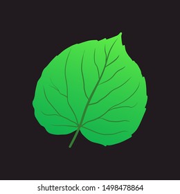 Aspen Leaf Vector Isolated On 260nw 1498478864 