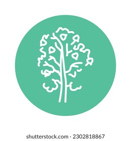 Aspen tree color line icon. Pictogram for web page, mobile app, promo.