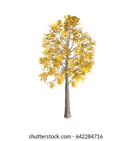 Aspen tree. Isolated on white background. 3d Vector illustration.  svg