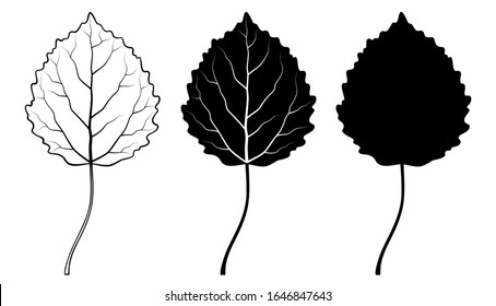 Aspen tree leaf. Vector linear illustration. Outline, silhouette, line art drawing isolated on white background