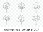 Aspen Tree Line Art Vector Set with Detailed Illustrations of Leaves Branches and Trunks for Design Projects