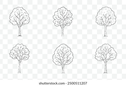 Conjunto de Vector de arte de línea de árbol de Aspen con Ilustraciones detalladas de ramas de hojas y troncos para proyectos de diseño