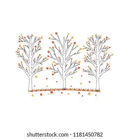 Aspen trees vector illustration. Isolated on white background