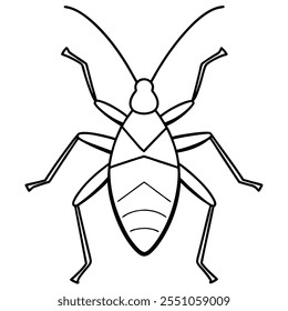 Ilustración vectorial plana del insecto del insecto del asesino en un fondo blanco