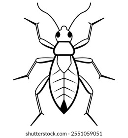 Ilustración vectorial plana del insecto del insecto del asesino en un fondo blanco