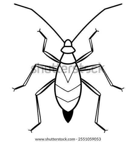 Assassin Bug insect flat vector illustration on a white background