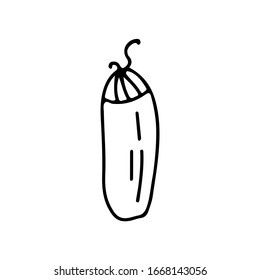 Bolso de dormir montado y empaquetado en forma de doodle sobre un fondo blanco aislado. Viajes y camping. Ilustración vectorial de material.