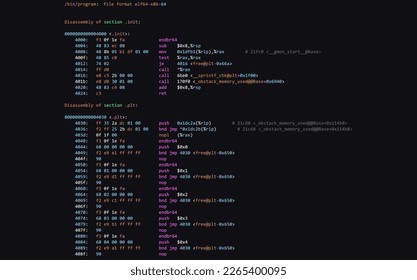 Assembly Code Programming Language. Machine Code Program Hexadecimal Code. Computer Memory. Vector Illustration. Hacking, Cryptography, Malware, Reverse Engineering, Data Analysis Backdrop.