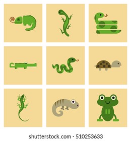 assembly flat icons exotic wild reptiles