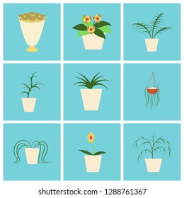 assembly flat icons houseplants