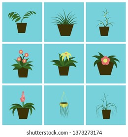 assembly flat icons houseplants