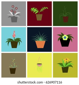 assembly flat icons houseplants