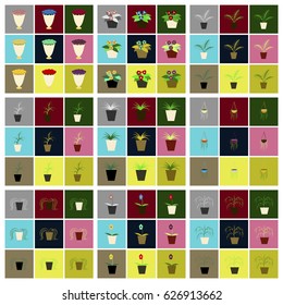 assembly flat icons houseplants