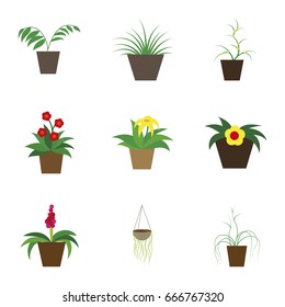assembly flat icons houseplants