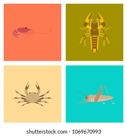 assembly of flat Illustrations shrimp lobster crab grasshopper