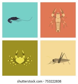 assembly of flat Illustrations shrimp lobster crab grasshopper