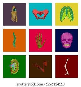 assembly of flat shading style icon human bones