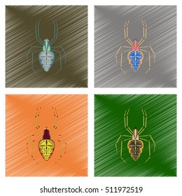 assembly flat shading style illustration spider Araneus