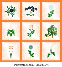 assembly flat shading style illustration plant flower paeonia chrysanthemum orhidaceae rosa calla aster narcissus linden
