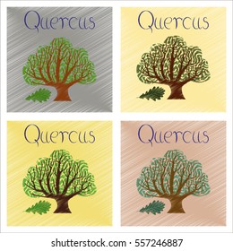 assembly flat shading style Illustrations plant Quercus