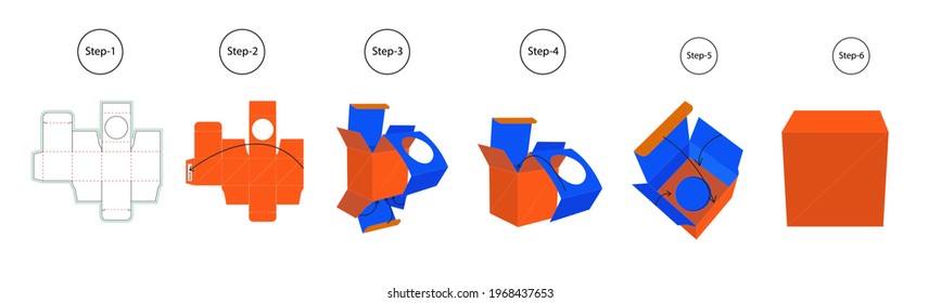 assembly instructions tuck end box, bug box, product box, vector 3D box