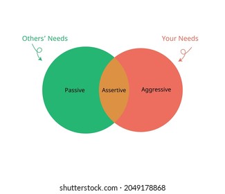 the assertiveness which is combines of aggressive and passive