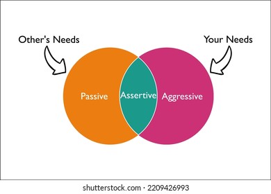 the assertiveness which is combines of aggressive and passive