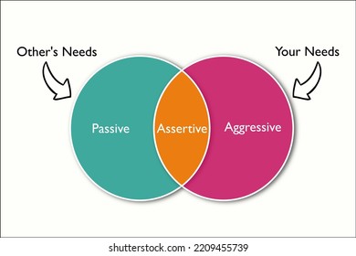 the assertiveness which is combines of aggressive and passive