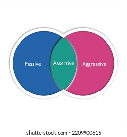 the assertiveness which is combines of aggressive and passive