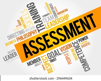 ASSESSMENT word cloud, business concept