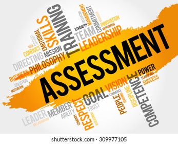 ASSESSMENT word cloud, business concept