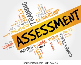 ASSESSMENT word cloud, business concept