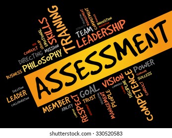 ASSESSMENT word cloud, business concept