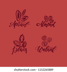 Asset with nuts and dried fruits. Vector illustration.