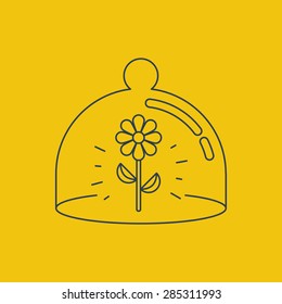 Assets insurance concept