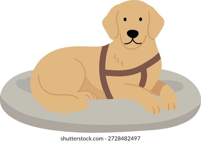 Assistance Dog Resting Guide Dog Support